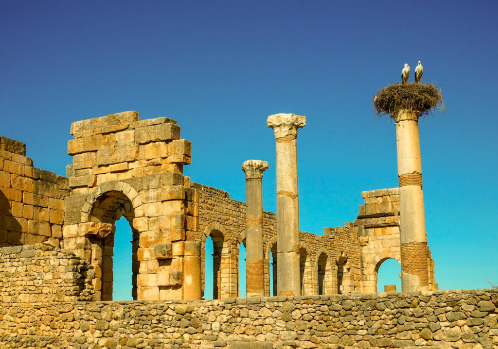 Stone columns and remains of the Roman Forum at Volubilis, Morocco, with a stork nest on top of one column
