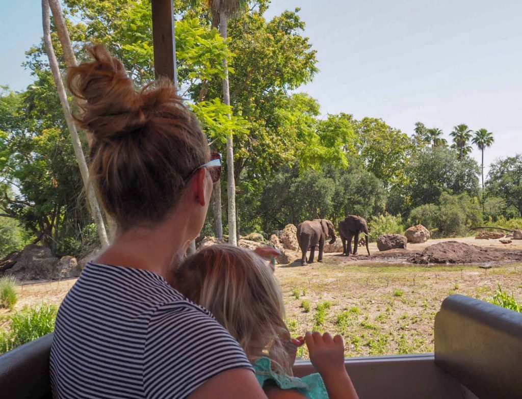 Mother and daughter watching 2 elephants at the zoo
