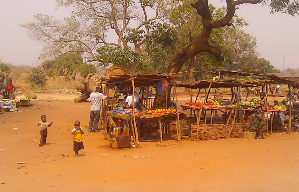 A basic wooden marketplace selling fruit, in Zambia
