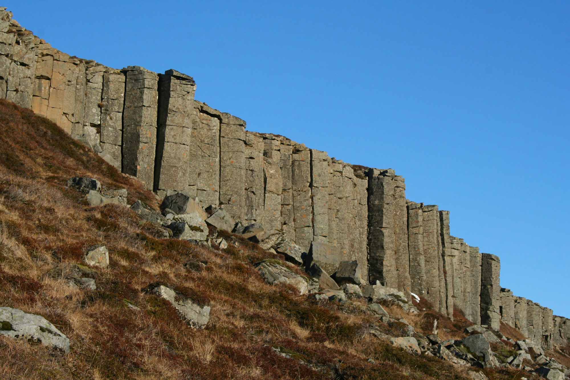 Row of large basalt columns at the Gerðuberg Cliffs, Iceland