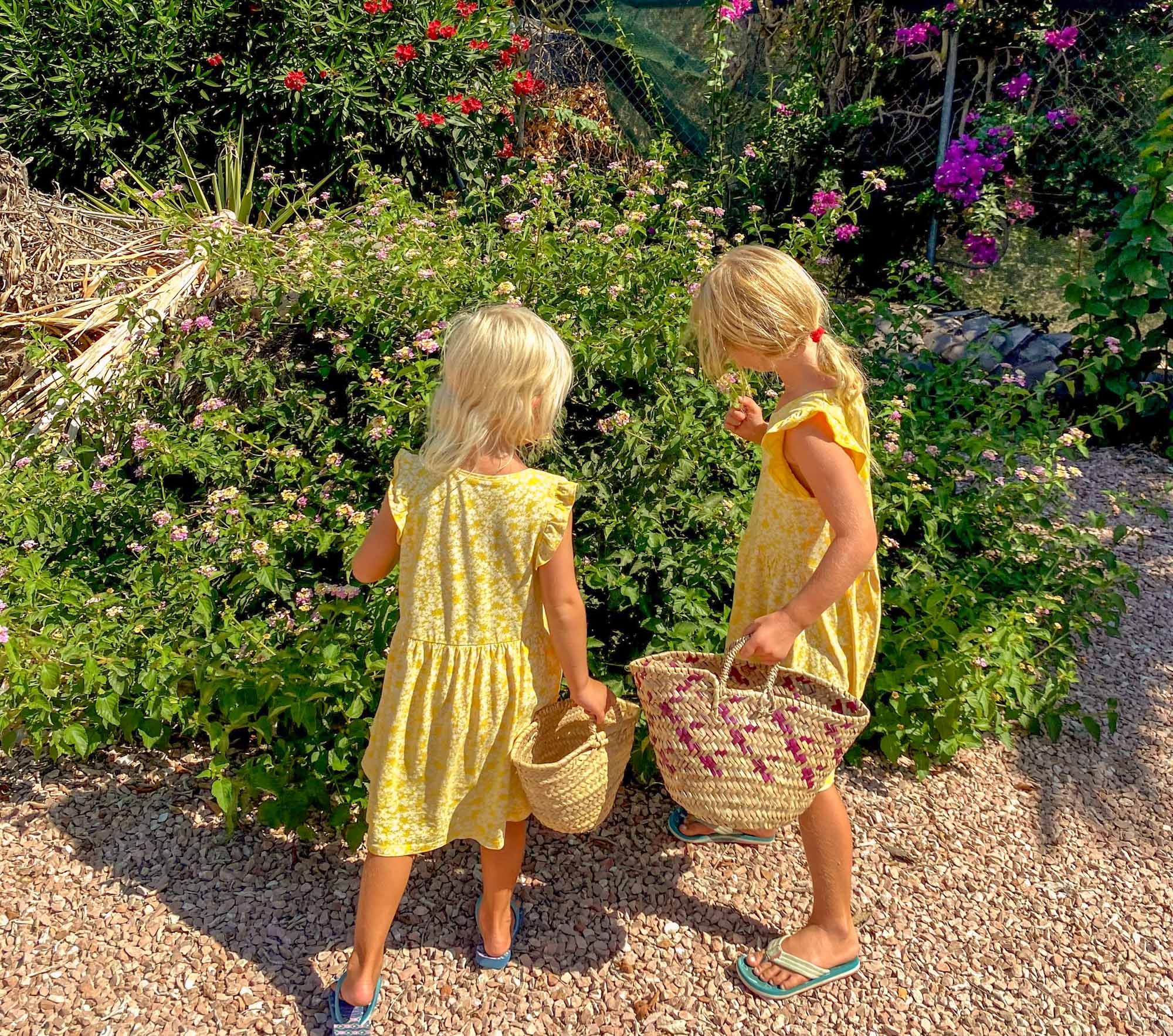 2 girls collecting flowers in the garden into wicker baskets