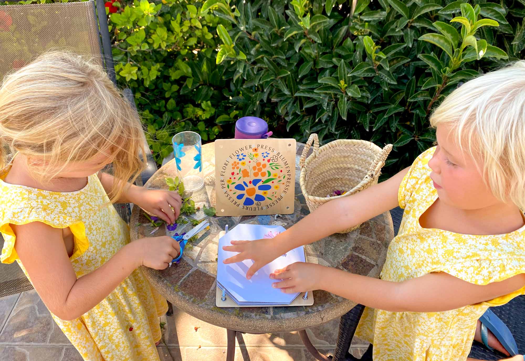 2 young girls loading freshly cut flowers into a small flower press, on an outside table