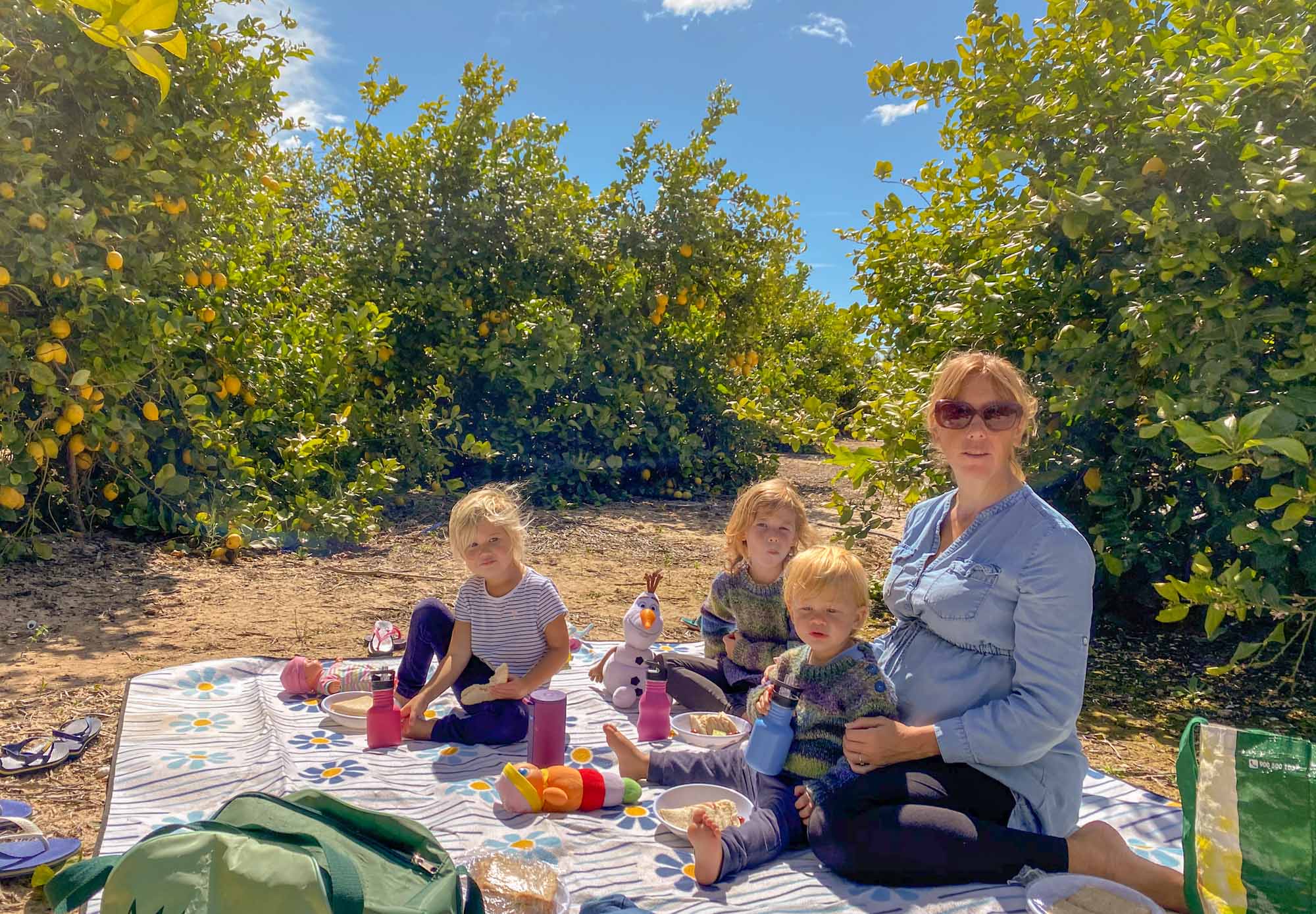 Family sat outside amongst lemon trees eating a picnic