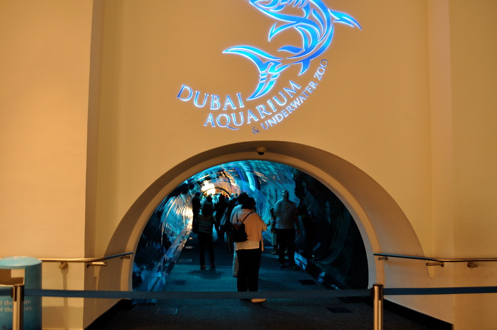 Entrance to an underwater glass tunnel at the Dubai aquarium