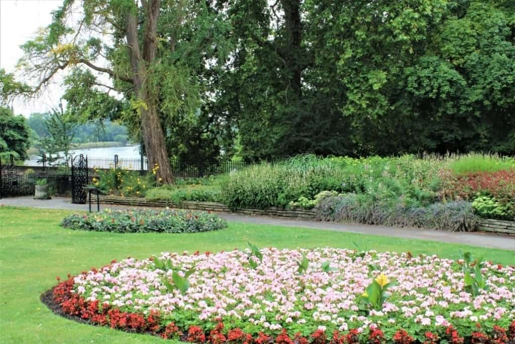 An attractive flower display in a park