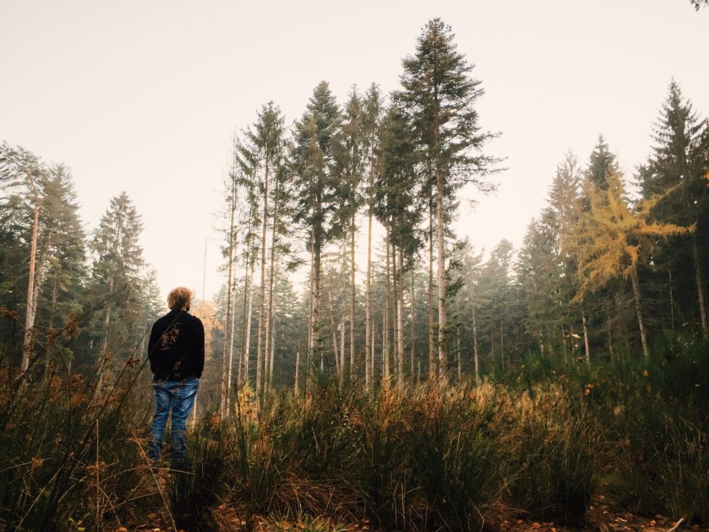 A man standing alone in a woodland clearing